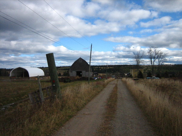 The new tarp barn, the 100 year-old barn, and the farmhouse
