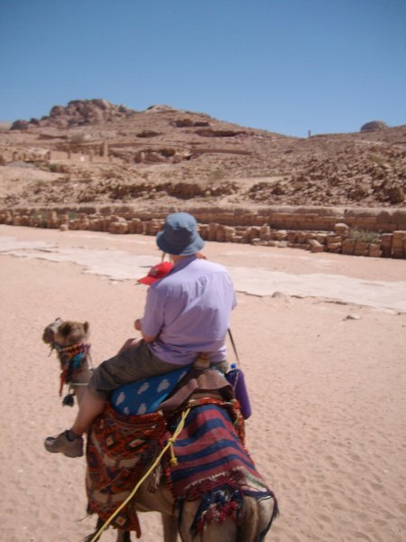 Camel ride back
