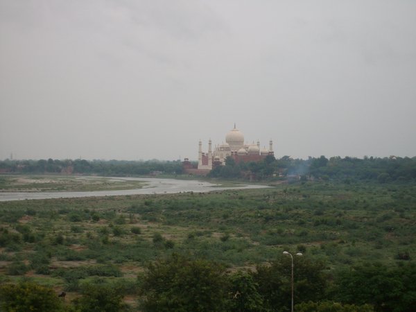 Taj from Fort
