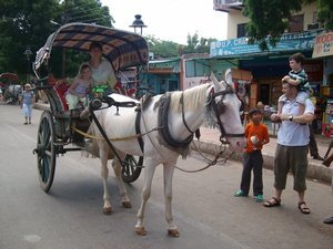 Horse ride to the Taj
