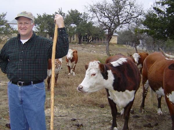 Ray Roolf with his cattle