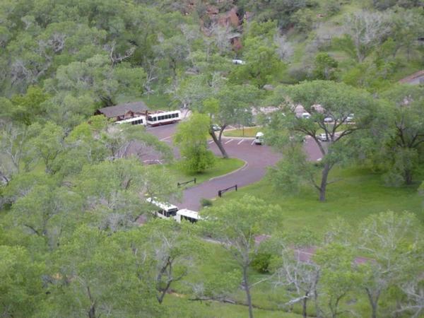 Buses in Zion