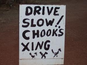 Watch out for the chooks at Daly Waters