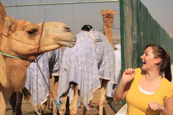 Talia and camel