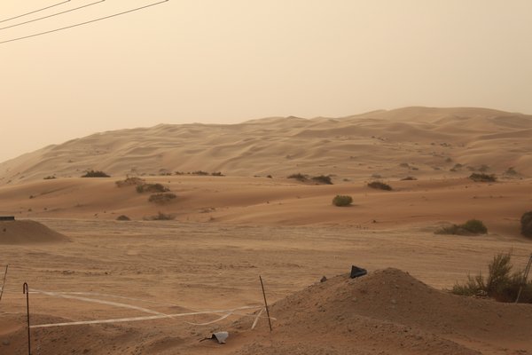 Liwa desert