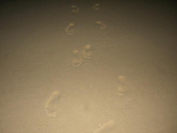 Midnight stroll on the beach