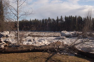 May 2009 Ice Jam on the Bulkley