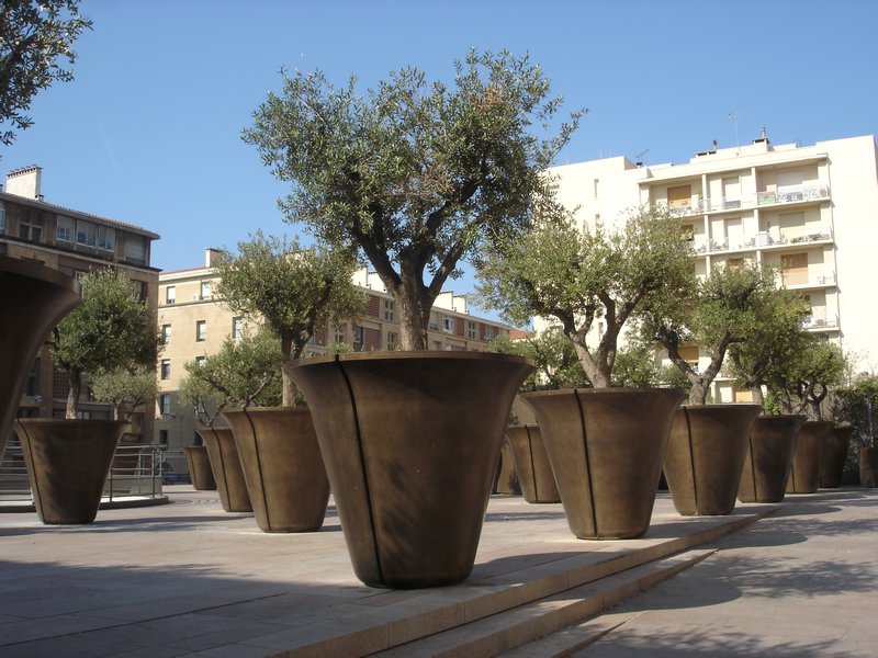 Giant tree pots