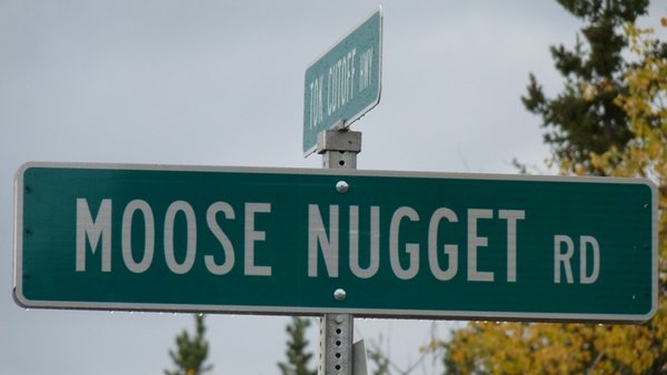 Google "moose nugget" if you need to