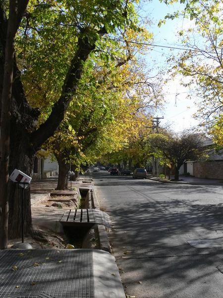 A typical street in Mendoza