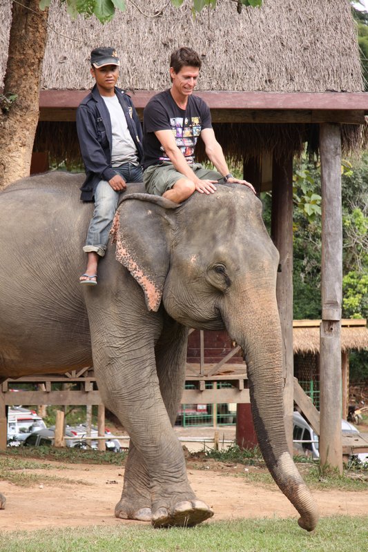 My First Elephant Ride