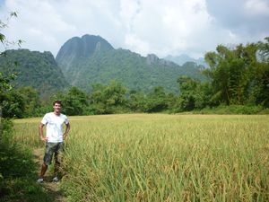 Rice Paddy with Limestone Outcrop