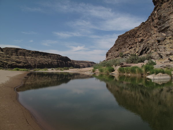 Fish-out-of-water River Canyon