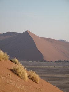 View From Dune 45