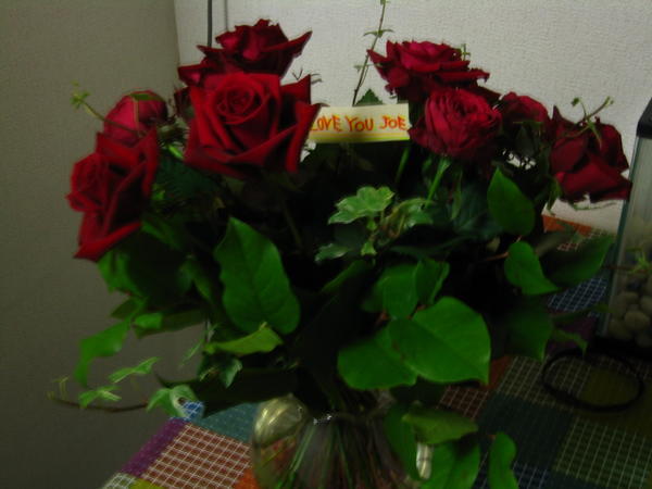 Beautiful roses from Joe!!!