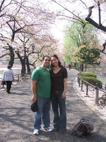 Strolling through the cherry blossoms in Ueno Park