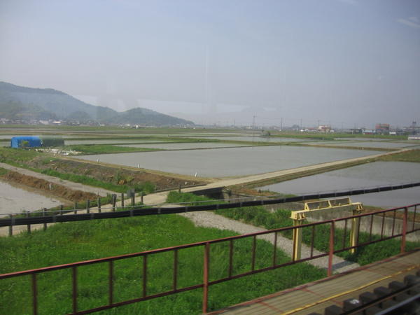 View of ?Rice Paddies ? from the train.