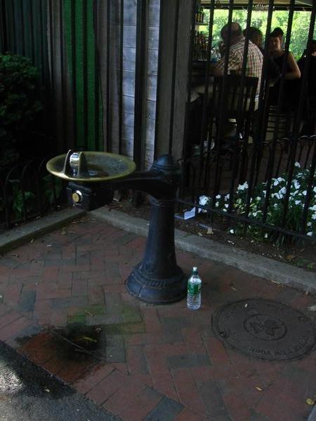 New York Drinking fountain!