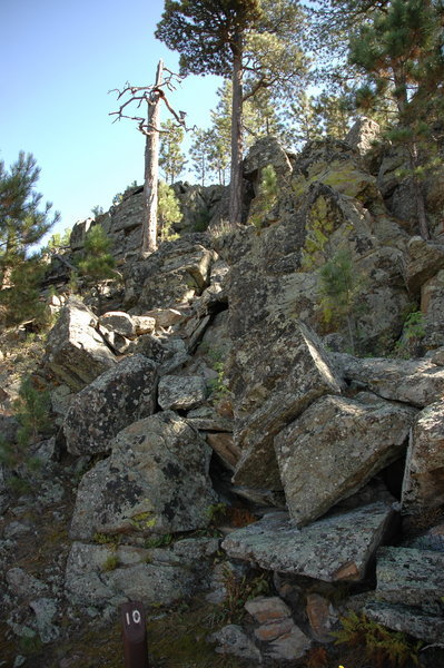 Black Hills Rocks