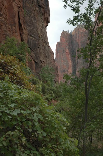 Narrow spot in the canyon