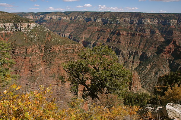 A view of the Canyon