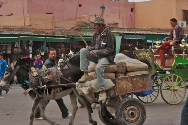 Two very different styles of donkey cart