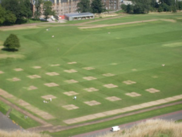 Edinburgh Crop Squares