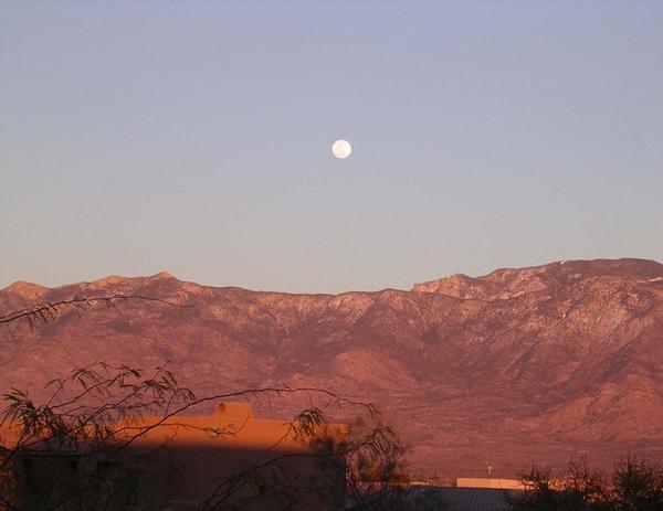 Moonlight on the Catalinas