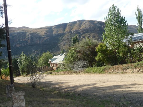 greenery in Clarens