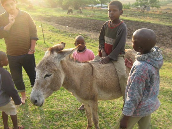 the donkeys' name was Poison. hell yeah!
