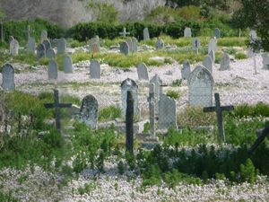Leper graveyard on Robben Island