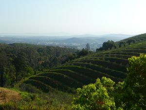 Stellenbosch wine estates