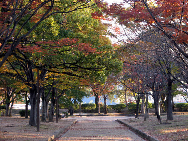 Park next to Himeji-jo
