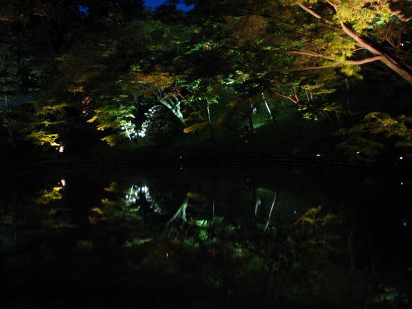 Gardens at night