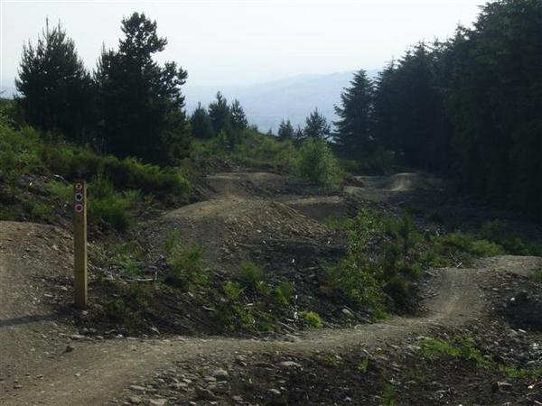 Llandegla forest track