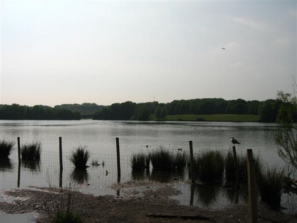 Cosmestan Lakes