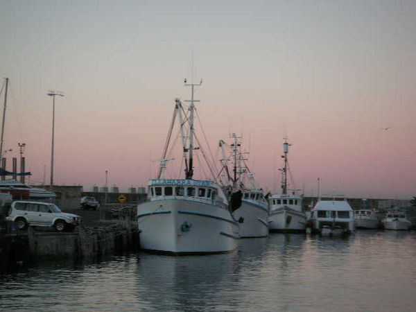 fishign boats