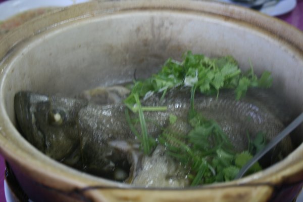 steamed fish