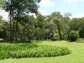 Rondo Gardens