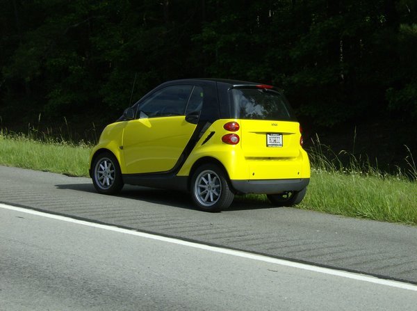 Smart Car, Dumb Lady