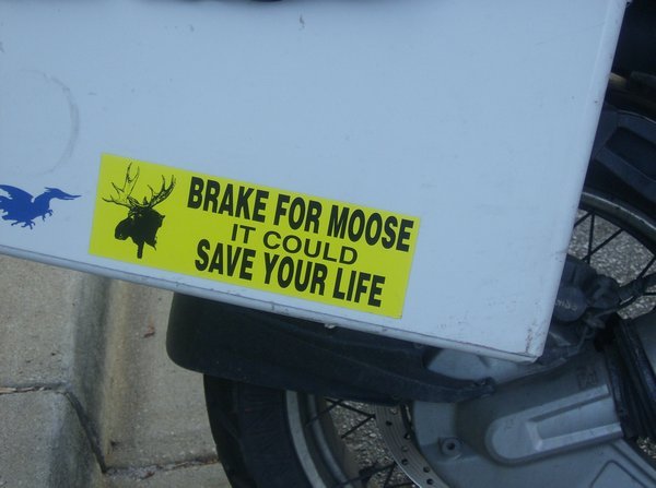 Moose Brake