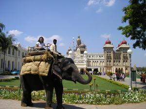 Fi, the elephant, and the Maharaja's palace