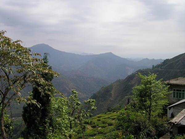 View on the way up to Darjeeling