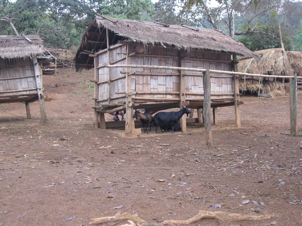 Hamong Village
