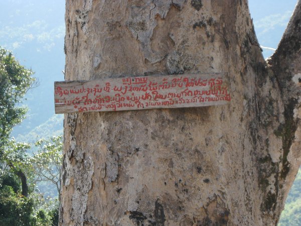 Conservation tree