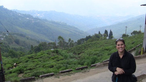 Darjeeling Tea plantations