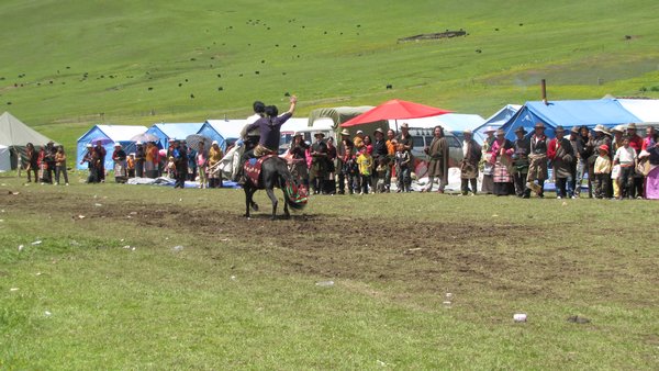 Horse festival