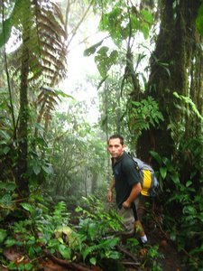 In the cloud forest