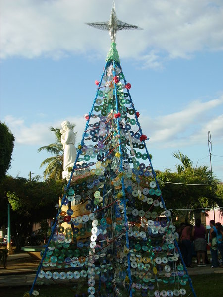 Nicaraguan Christmas Tree