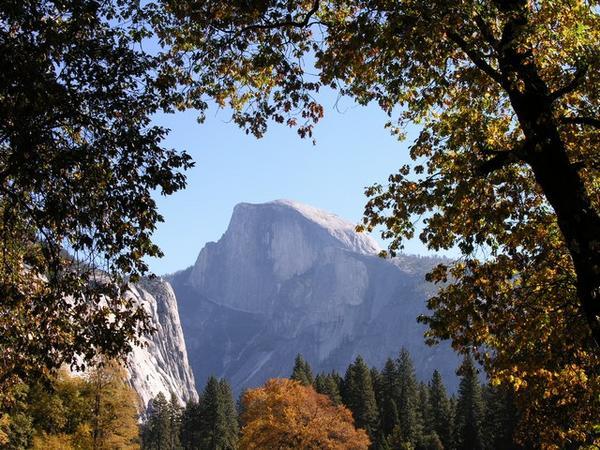 A peak at Half-dome between the Fall colors